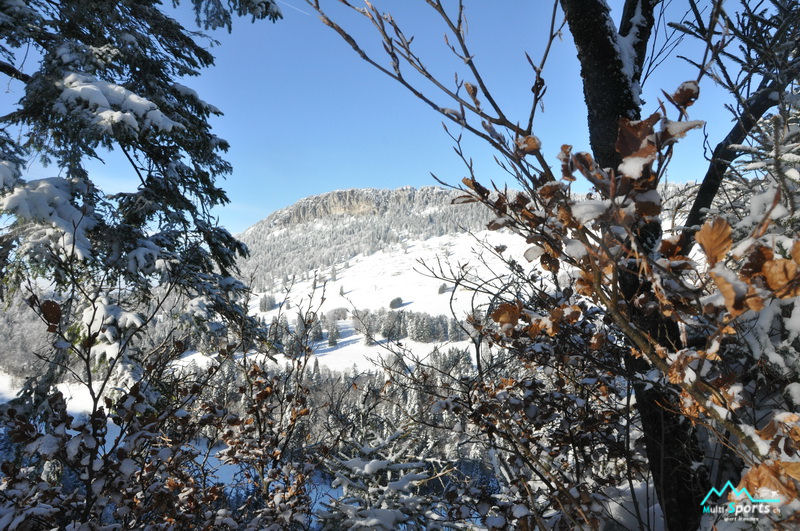 RocAlpes Multi-sports.ch Suchet aiguilles de baulmes