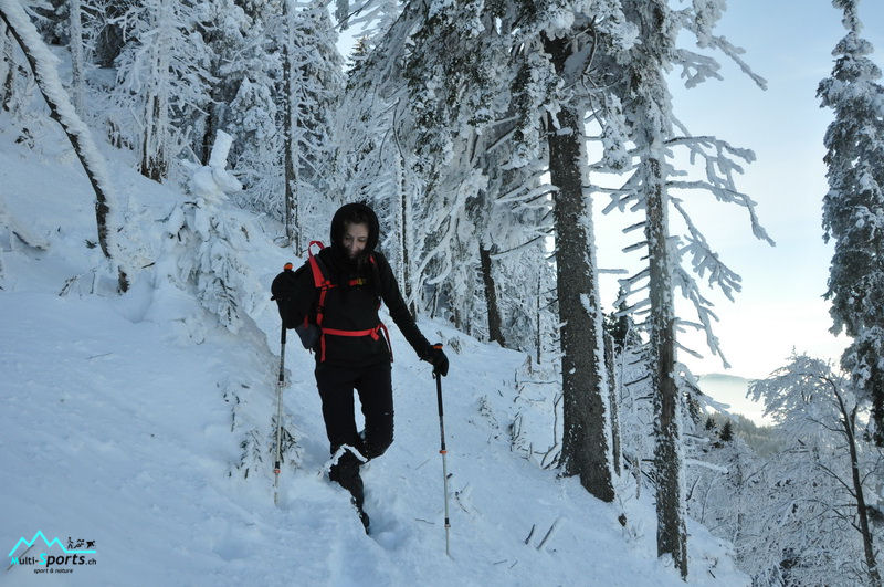 RocAlpes Multi-sports.ch Suchet aiguilles de baulmes