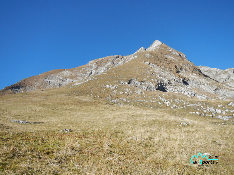 RocAlpes Multi-sports Montée sur Dent de Brenleire