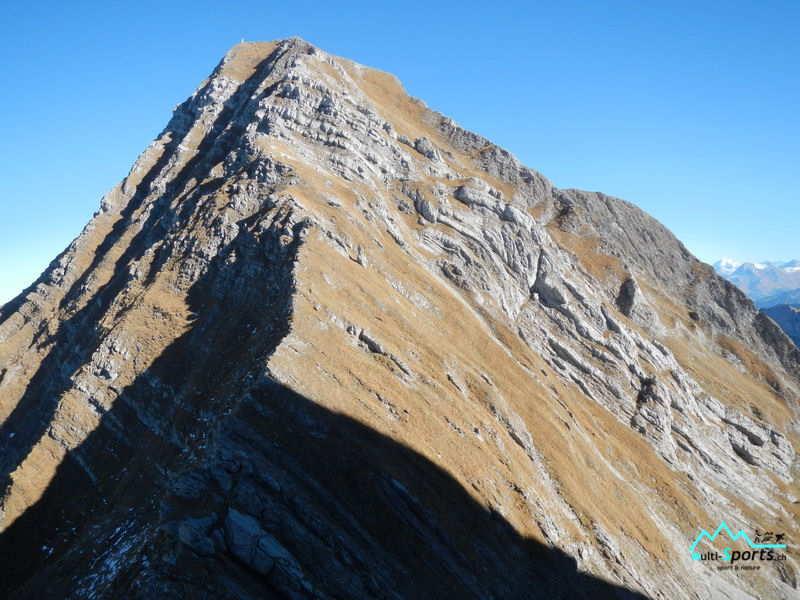 RocAlpes Multi-sports L'arrête sud de la Dent de Brenleire