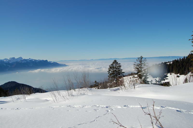 Sicht am Genfersee vom Molard