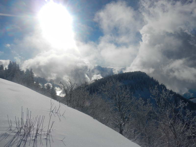 Le Folly depuis le Molard