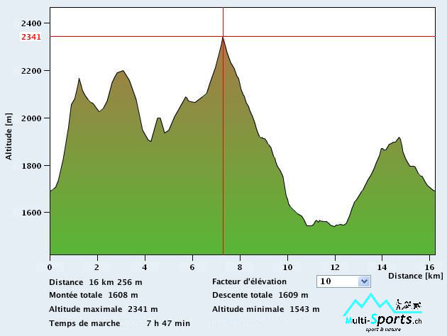 Wittenberhorn randoromandie.ch multi-sports.ch rocalpes