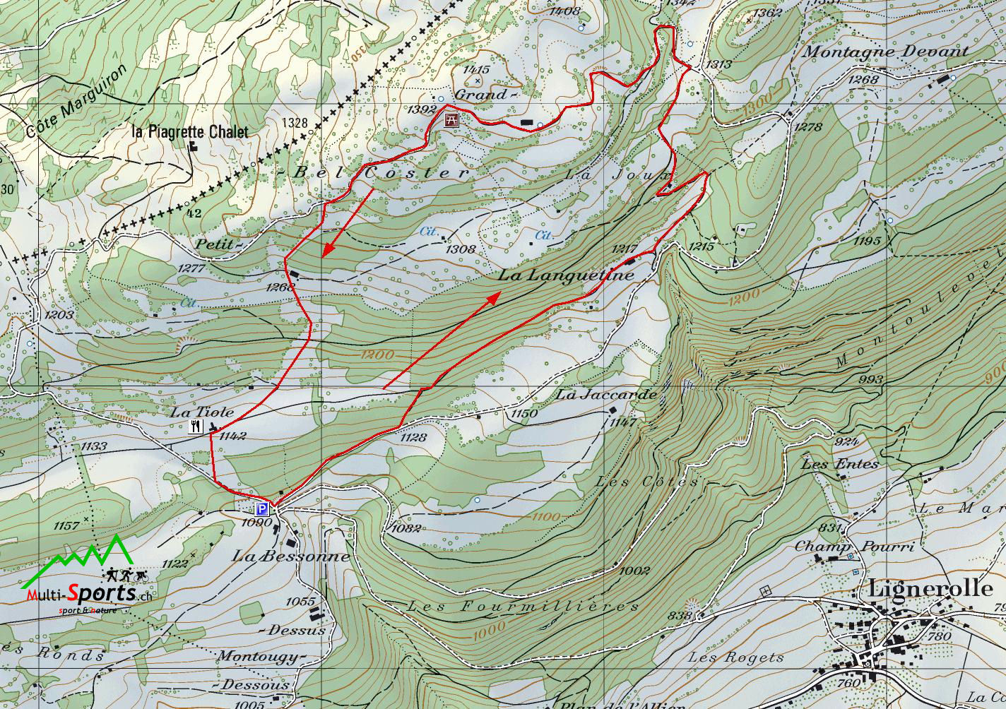 Carte topographique du Bel Coster